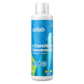 VP Lab L-Carnitine Concentrate